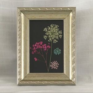 Pressed Natural Flowers, Framed